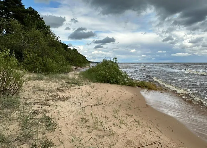 Privaatne Saunamajaga Suvila Peipsi Kaldal